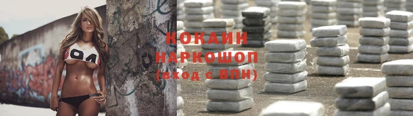 гидра Алексин