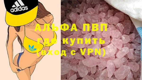 гидра Алексин