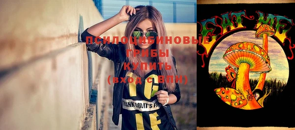 спиды Алзамай