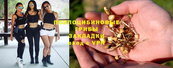 метамфетамин Алексеевка