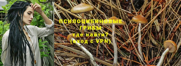 гидра Алексин