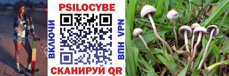 Псилоцибиновые грибы MAGIC MUSHROOMS Сухой Лог